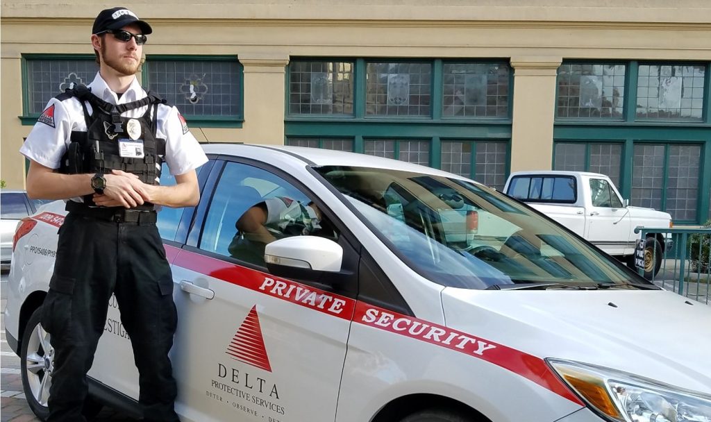 Delta Vehicle Patrol